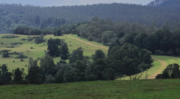 印度南部Tamilnadu的Nilgiri山风景秀丽的山景和6英里观察点附近的郁郁葱葱的绿茵起伏的草地 — 图库照片