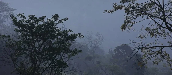 Nebbiosa Nebbiosa Foresta Tropicale Della Regione Terai Situata Sulle Colline — Foto Stock