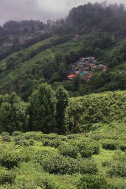 Manzaralı dağ manzarası, yemyeşil vadi ve yağmur, gökyüzünde muson bulutları taşıyor. Hindistan 'daki Darjeeling Hill İstasyonu yakınlarındaki Himalaya eteklerinin ve kırsal alanların güzel panoramik manzarası.
