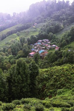 Hindistan, batı Bengal 'deki Darjeeling Hill İstasyonu yakınlarındaki Himalaya eteklerindeki yemyeşil vadi ve dağ köyünün panoramik manzarası.