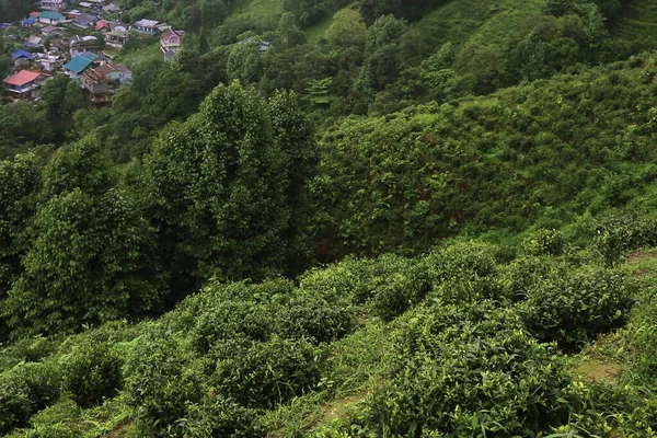 Vista Panorâmica Exuberante Vale Verde Aldeia Montanha Verão Localizado Sopé — Fotografia de Stock