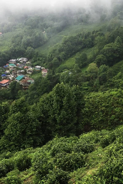 Ομιχλώδες Και Ομιχλώδες Ορεινό Χωριό Που Περιβάλλεται Από Καταπράσινο Δάσος — Φωτογραφία Αρχείου