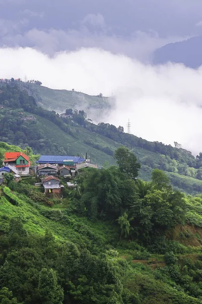 緑豊かな山の谷に浮かぶモンスーンの雲 インドの西ベンガルにあるダージリン丘陵駅近くのヒマラヤン丘陵の景観 — ストック写真