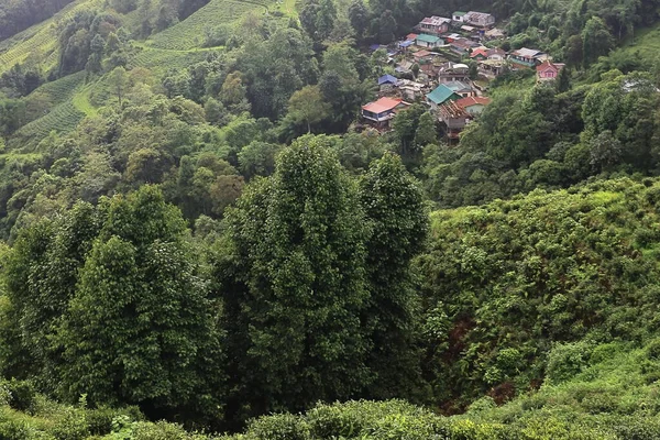 Lush Green Foggy Himalaya Mountain Foothills Monsoon Season Darjeeling Hill — Stock Photo, Image