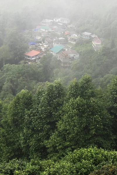 Mlhavá Mlhavá Horská Vesnice Obklopená Bujným Zeleným Lesem Divočinou Svazích — Stock fotografie