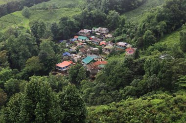 Hindistan, batı Bengal 'deki Darjeeling Hill İstasyonu yakınlarındaki Himalaya eteklerindeki yemyeşil vadi ve dağ köyünün panoramik manzarası.