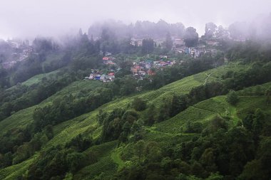 Puslu ve bulutlu dağ köyünün panoramik manzarası muson mevsiminde yeşil ormanlarla çevrili, Hindistan 'ın batısındaki Darjeeling Hill istasyonu yakınlarında.