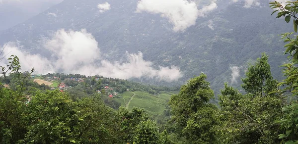 Panoramablick Auf Neblige Und Bewölkte Bergdörfer Umgeben Von Grünen Wäldern — Stockfoto