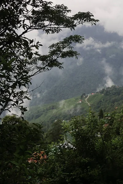 Nuvole Monsoniche Galleggianti Nel Cielo Sopra Lussureggianti Colline Verdi Himalaya — Foto Stock