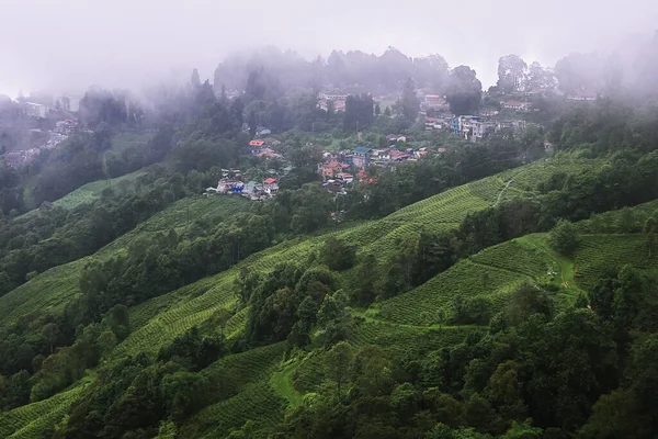Vista Panoramica Del Villaggio Montagna Nebbioso Nuvoloso Circondato Dalla Foresta — Foto Stock