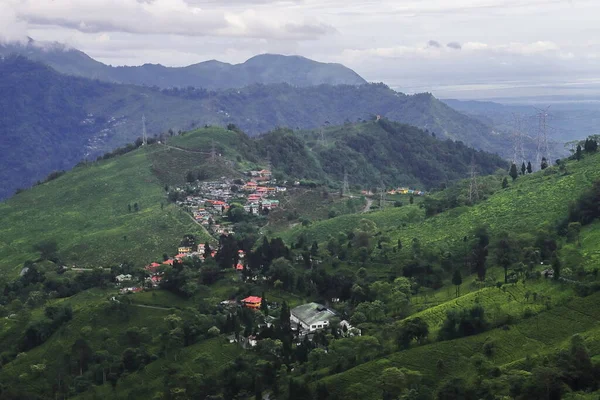 Üppig Grünen Teegarten Und Berglandschaft Des Himalaya Vorgebirges Von Prickelnden — Stockfoto