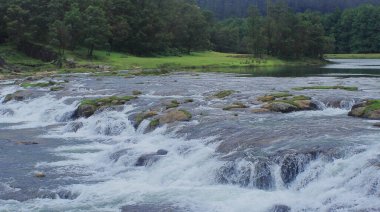 Hindistan 'ın güneyindeki Tamil Nadu' daki Ooty Hill İstasyonu yakınlarındaki Nilgiri dağ eteklerinde yemyeşil ormanlarla çevrili güzel Pykara şelalesi ya da akıntıları.