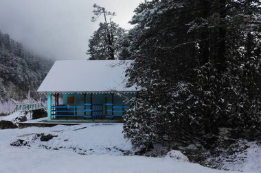 Kış mevsiminde Yumthang Vadisi 'nin yanında güzel kar yağışlı vadi, kuzey Sikkim, Hindistan' daki manzaralı himalaya dağ vadisidir.
