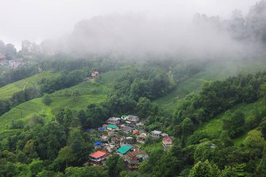 Güzel Singamari çay evi ve Darjeeling Hill İstasyonu yakınlarındaki bir köy. Batı Bengal, Hindistan 'da Himalaya Yemekleri' nde yer alıyor.