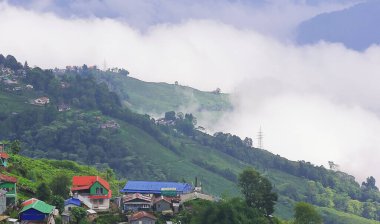 Bulutlu Himalaya dağları etekleri, çay çiftliği ve Hindistan, Batı Bengal 'deki Darjeeling kırsal bölgesi.