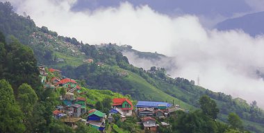 Bulutlu Himalaya dağları etekleri, çay çiftliği ve Hindistan, Batı Bengal 'deki Darjeeling kırsal bölgesi.