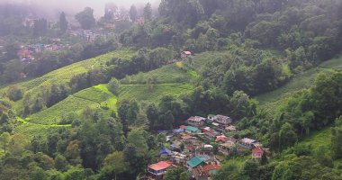 Bulutlu Himalaya dağları etekleri, çay çiftliği ve Hindistan, Batı Bengal 'deki Darjeeling kırsal bölgesi.