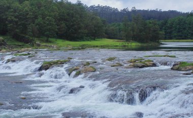 manzara manzarası, yemyeşil vadi ve güzel pikara şelalesi çam ormanı ve Nilgiri dağları ile çevrili Ooty, tamilnadu, Güney Hindistan 