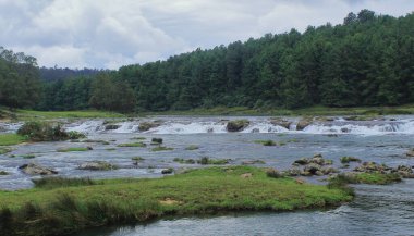 manzara manzarası, yemyeşil vadi ve güzel pikara şelalesi çam ormanı ve Nilgiri dağları ile çevrili Ooty, tamilnadu, Güney Hindistan 
