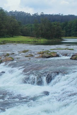 manzara manzarası, yemyeşil vadi ve güzel pikara şelalesi çam ormanı ve Nilgiri dağları ile çevrili Ooty, tamilnadu, Güney Hindistan 