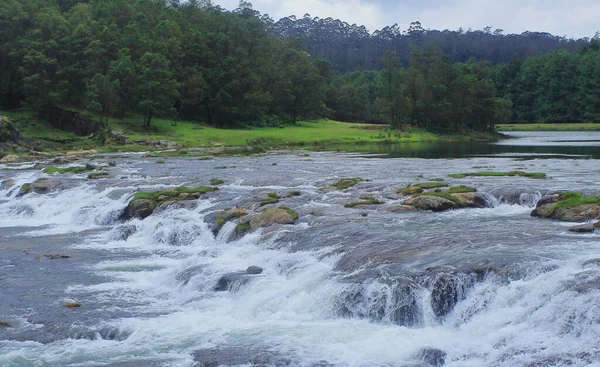 manzara manzarası, yemyeşil vadi ve güzel pikara şelalesi çam ormanı ve Nilgiri dağları ile çevrili Ooty, tamilnadu, Güney Hindistan 