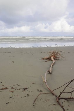 Henry 's Island Sea Beach, Bakkhali' nin güzel kıyı şeridi ve Kolkata yakınlarında Batı Bengal, Hindistan.