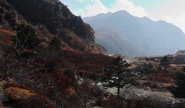 Doğu Sikkim 'de Himalaya ve Alp Ormanı ile çevrili güzel dağ vadisinden akan akarsu, Hindistan Çin sınırına yakın.