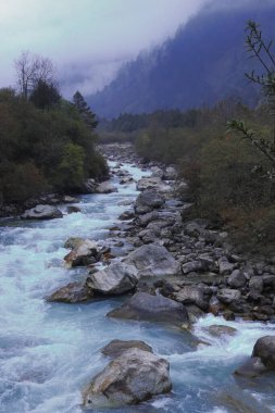 Kuzey Sikkim, kuzey doğu Hindistan 'daki Lakhung Hill İstasyonu yakınlarındaki Himalaya eteklerindeki ormandan akan Lakung Chu nehri.