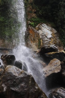 Kuzey Sikkim 'deki şelalelerin manzarası, Himalaya dağlarının deresi Kuzey Sikkim, Kuzey Doğu Hindistan' daki lachung yakınlarındaki eteklere akıyor.