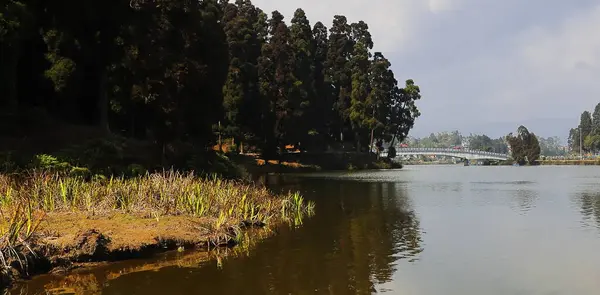 位于印度西孟加拉邦达吉岭区喜玛拉雅山麓丘陵地区的密里克湖被松树林环绕的美丽景色 — 图库照片