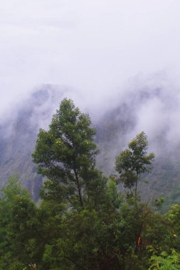 Muson bulutları, tahtırevan tepeleri üzerinde toplanıyor, batı ghat dağlarının bir kısmı, tropikal yağmur ormanlarının vahşi toprakları, tamilnadu, Hindistan 'da kodaikanal