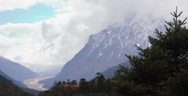 Bulutlu, sisli Alp ormanları ve Kuzey Sikkim 'in kuzeyindeki Himalaya dağlarından oluşan panorama Hindistan' daki Yumthang Vadisi yakınlarında.