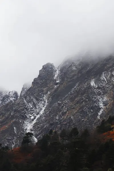 stock image cloudy foggy alpine forest and panorama of snowcapped himalaya mountains range of north sikkim near yumthang valley in india