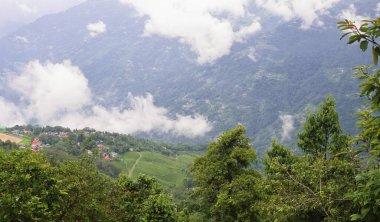 Panoramik manzara bulutlu ve sisli yemyeşil Himalaya dağları eteklerinde ve kırsal alanda muson mevsiminde, Darjeeling Batı Bengal, Hindistan