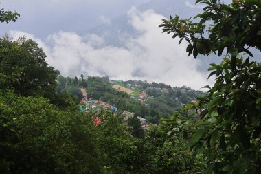 Sisli ve bulutlu yemyeşil Himalaya etekleri ve Darjeeling 'in dağlık kırsal bölgesi muson mevsiminde, Batı Bengal, Hindistan