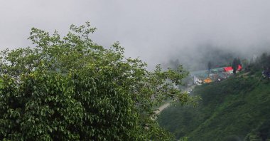 Sisli ve bulutlu yemyeşil Himalaya etekleri ve Darjeeling 'in dağlık kırsal bölgesi muson mevsiminde, Batı Bengal, Hindistan