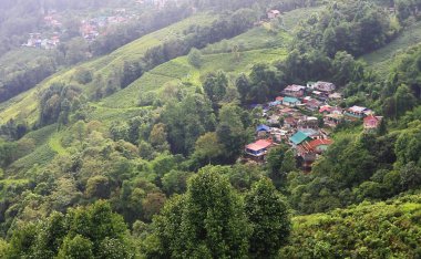 Panoramik manzara bulutlu ve sisli yemyeşil Himalaya dağları eteklerinde ve kırsal alanda muson mevsiminde, Darjeeling Batı Bengal, Hindistan