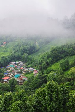 Sisli ve bulutlu yemyeşil Himalaya etekleri ve Darjeeling 'in dağlık kırsal bölgesi muson mevsiminde, Batı Bengal, Hindistan