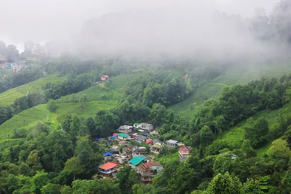 Panoramik manzara bulutlu ve sisli yemyeşil Himalaya dağları eteklerinde ve kırsal alanda muson mevsiminde, Darjeeling Batı Bengal, Hindistan