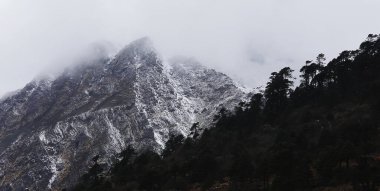 Bulut ve sis manzaralı dağ manzarası, kuzey Sikkim 'de karla kaplı Himalaya ve Alp ormanı manzarası, Hindistan' da seyahat macerası 