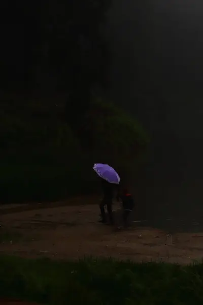 stock image fog and mist covered dark pine forest and lake at mirik hill station in monsoon season, himalayan foothills in west bengal in india