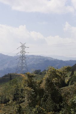 yemyeşil himalaya dağ etekleri ve Darjeeling çay bahçesi, ünlü Darjeeling çayı, Himalaya dağ köyü Batı Bengal, Hindistan