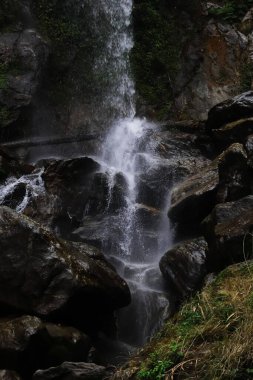 Manzaralı şelale, akan dağ deresi, Sikkim 'in Himalaya eteklerinde, kuzeydoğu Hindistan' ın güzel dağı.