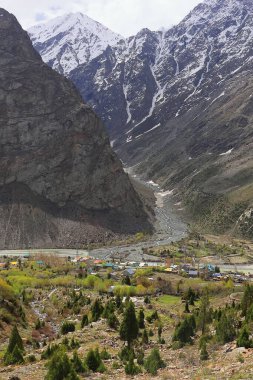 Manzaralı Jispa köyü, karla kaplı himalaya dağları ve Hindistan 'ın Himachal Pradesh kentindeki Lahaul bölgesindeki yemyeşil Bhaga Nehri vadisi.