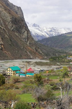 Manzaralı Jispa köyü, karla kaplı himalaya dağları ve Hindistan 'ın Himachal Pradesh kentindeki Lahaul bölgesindeki yemyeşil Bhaga Nehri vadisi.