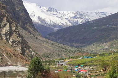 Manzaralı Jispa köyü, karla kaplı himalaya dağları ve Hindistan 'ın Himachal Pradesh kentindeki Lahaul bölgesindeki yemyeşil Bhaga Nehri vadisi.