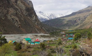 Manzaralı Jispa köyü, karla kaplı himalaya dağları ve Hindistan 'ın Himachal Pradesh kentindeki Lahaul bölgesindeki yemyeşil Bhaga Nehri vadisi.