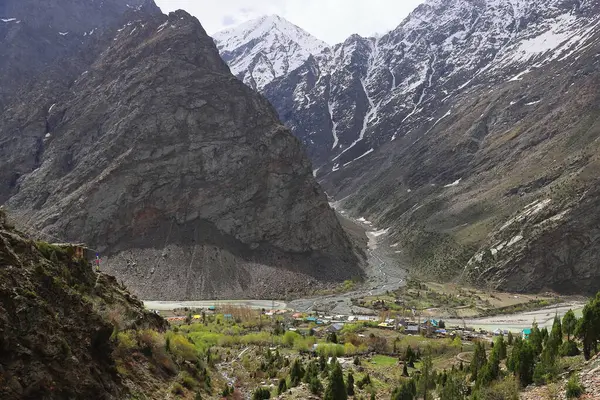 Manzaralı Jispa köyü, karla kaplı himalaya dağları ve Hindistan 'ın Himachal Pradesh kentindeki Lahaul bölgesindeki yemyeşil Bhaga Nehri vadisi.