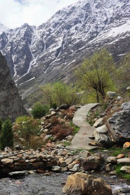 Lahaul Vadisi 'nin vahşi doğası, karla kaplı Himalaya dağları ve dağ ormanlarının manzarası, lahaul ve spiti, himachal pradesh, Hindistan 
