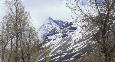 Lahaul Vadisi 'nin vahşi doğası, karla kaplı Himalaya dağları ve dağ ormanlarının manzarası, lahaul ve spiti, himachal pradesh, Hindistan 